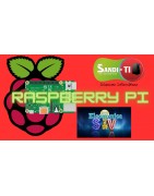 Raspberry Pi